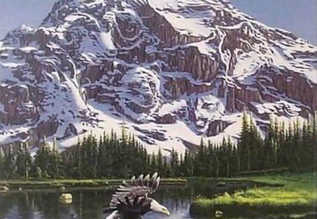 MOUNTAIN..WHAT DO YOU SEE ? - eagle, forest, mountain, wildlife