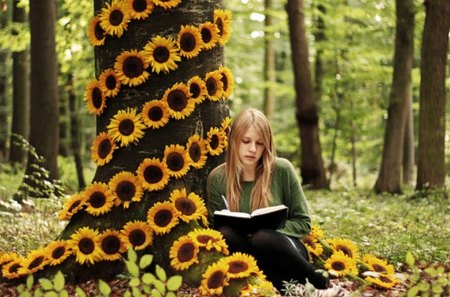 charming autumn - nature, autumn, sunflowers, girl, tree, book