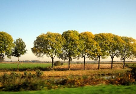 Autumn - fields, nature, sky, trees, blue, leaves, green, grass