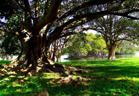 TIME TO RELAX - island, grass, trees, green