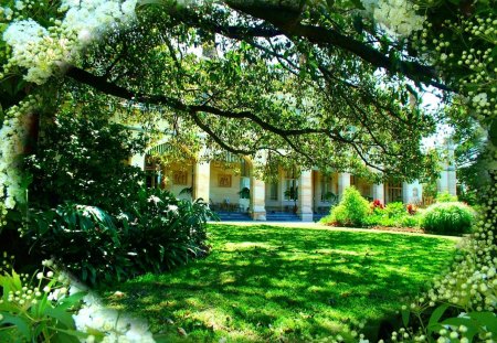 GOVERMENT HOUSE SYDNEY - house, grass, trees, green