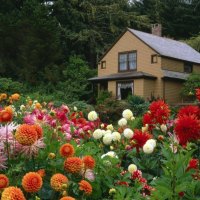 garden house