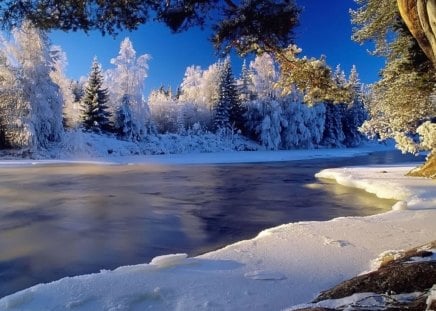 Winter Landscape - river, trees, winter, nature, landscape, snow