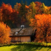 cottage in the woods