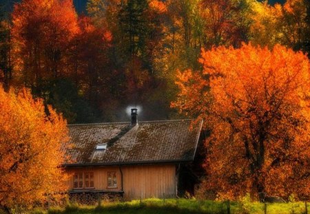 cottage in the woods - nature, autumn, beauty, forest, cottage