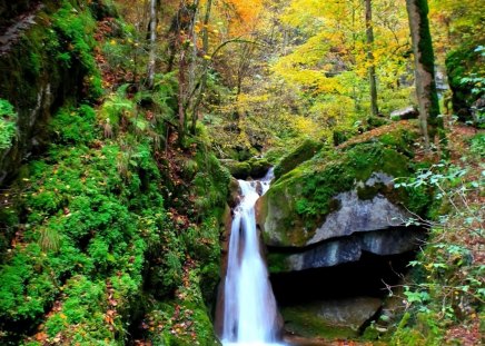 Beautiful waterfall in dark forest - season, autumn, trees, waterfall, forest, dark, beautiful, splendor, colors