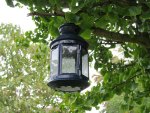 Damp Lantern