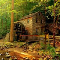 Forest mill