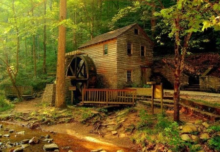 Forest mill