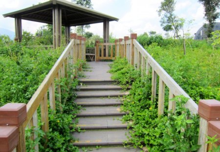 Hiking - plants, pavilion, ladder, hiking