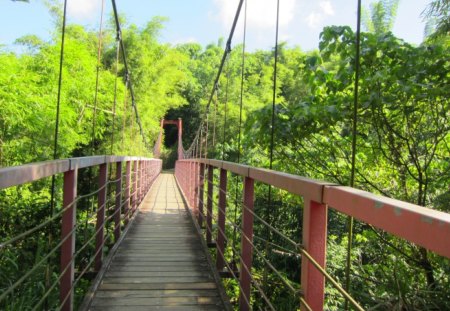 Suspension bridge - nature, mountain, hiking, suspension bridge