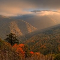 Autumn in the mountain