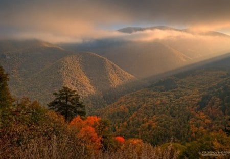 Autumn in the mountain - fall, beautiful, photo, sky, photography, tree, trees, nature, mountain, autumn, bulgaria