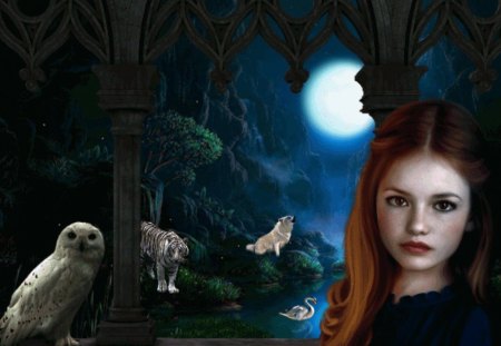 INTO THE NIGHT - moon, trees, female, swan, wolf, night, forest, tiger, owl, sky, animals