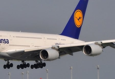 AIRBUS A-380 - airceraft, vienna, airport, airbus