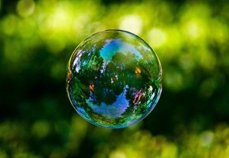 Perfectly Round - abstract, trees, water, thin, light, soap, bubble, floating, nature, green, reflecting, day