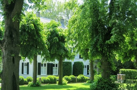 Nice house - house, trees, summer, windows, grass, architecture, tree, white, green, garden, sun, sky