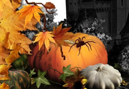 Halloween Haunt - spider, harvest, gourd, pumpkin, maple, leaves, fall, spooky, autumn, squash, halloween, creepy