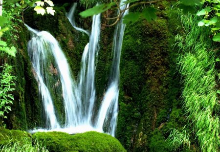 Softly Flowing - mountain, falls, trees, daylight, day, water, waterfalls, bushes, nature, white, brown, forest, green, grass