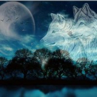 Wolf Moon