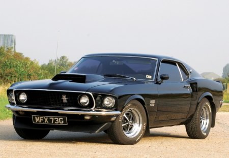 mustang - great, classic, oldies, beautiful