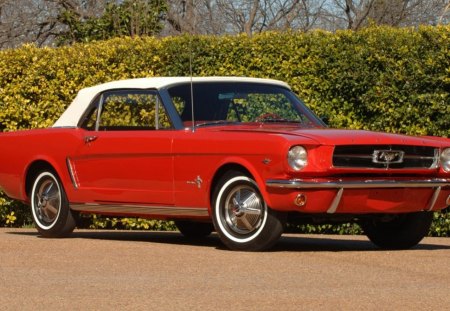 mustang - great, oldies, beautiful, classic