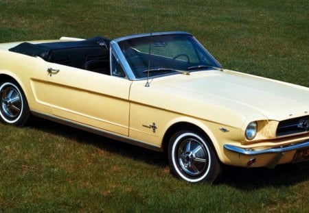 mustang - beautiful, oldies, classic, great