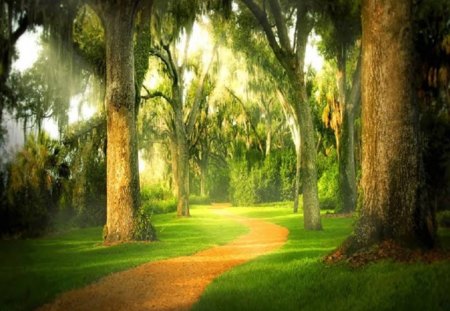 Enchanted Road - road, grass, trees, sky