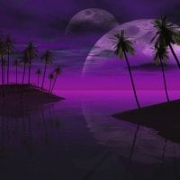 PURPLE NIGHT