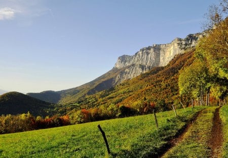 Landscape - autumn colors, splendor, landscape, grass, forest, path, view, autumn splendor, pathway, sky, woods, clouds, trees, beautiful, road, beauty, lovely, fence, tree, fall, nature, country road, green, autumn, autumn leaves, mountains, peaceful