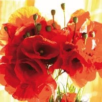 orange poppy bouqet