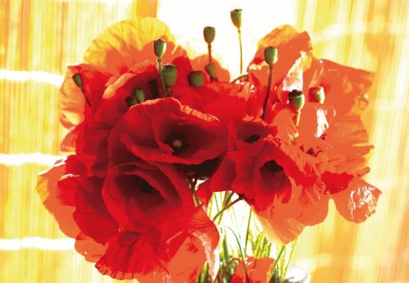 orange poppy bouqet