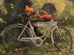 Still life with pumpkins