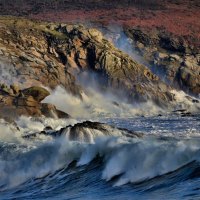 Waves and Rocky Coast