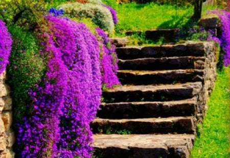 Enjoy Purple Beauty As You Climb the Stone Stairway - stone, beauty, nature, purple, stairway, flowers