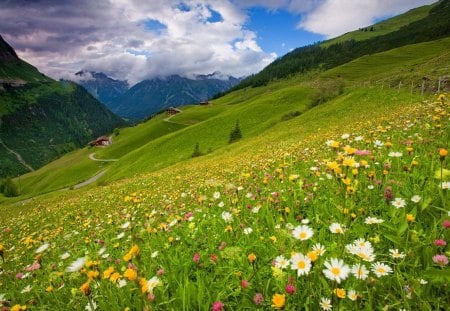 Mountain houses - nice, cottage, sky, slope, freshness, field, meadow, mountainscape, pretty, clouds, scent, grass, houses, fresh, lovely, peaks, nature, village, beautiful, flowers, cabin, wildflowers