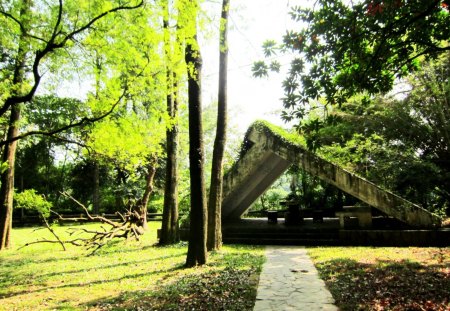 Botanical park - grasses, wooden, tree, botanical park