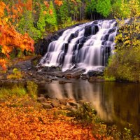 Bond falls in autumn