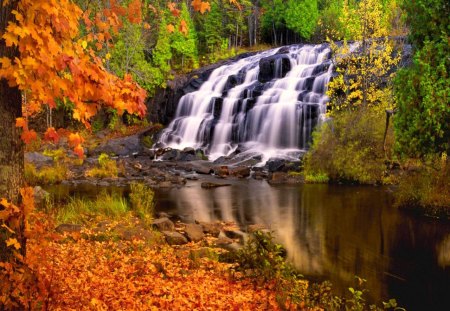 Bond falls in autumn - nice, autumn, trees, peaceful, water, stream, waterfall, foliage, calm, fall, reflection, branches, falling, lovely, serenity, nature, forest, beautiful, leaves