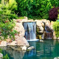 Exotic japanese garden