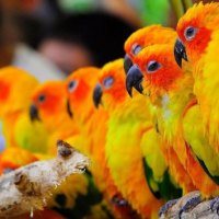 Large Colorful Family Gathering