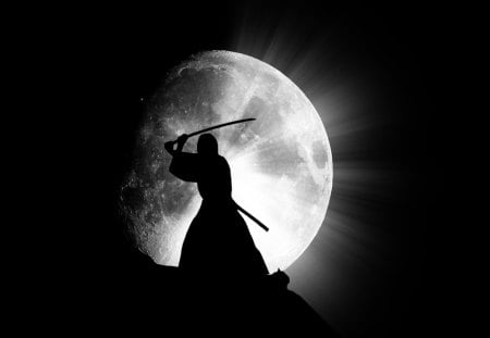 samurai by moonlight - moon, night, sword, person