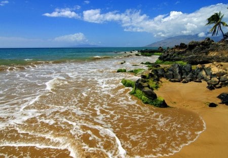 Kihei Maui, Hawaii - beaches, sky, beach, seaweed, trees, popular, water, hawaii, rocks, oceans, clouds, tan, sand, palm trees, ocean, mountain, daylight, day, wallpaper, waves, nature, maui, blue, tide, island, scenery, stones