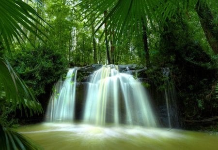 Noosa Hinterland Waterfall, Queensland, Australia - trees, day, daylight, water, waterfall, bright, nature, white, forest, flowing, river, green, australia