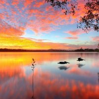 Lake Doonella Noosa Heads, Australia