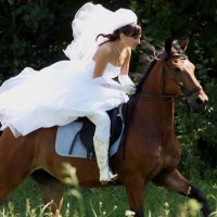 *** The bride fleeing on horseback ***