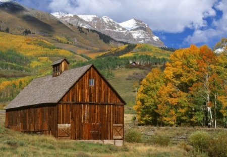 countryside - nature, sunny, landscape, country