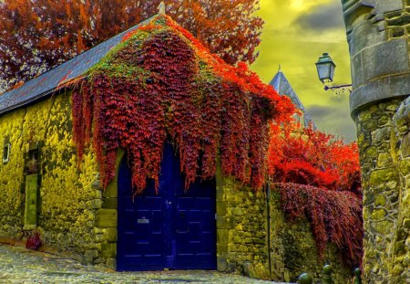 AUTUMN ROOF - house, autumn, plants, structures, creeps