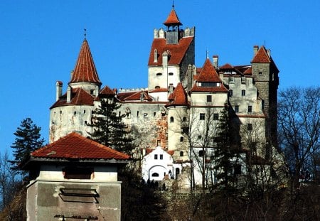 dracula's castle - vampires, castle, dracula, medieval