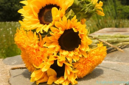 Happy as Annie♥ - warmth, yellow, summer, forever, love, light, happy, flowers, fresh, nature, sunflower, annie, autumn, bright